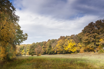 Fototapeta premium Dawn