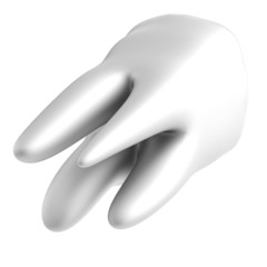 realistic 3d render of tooth