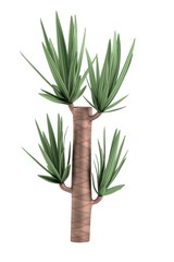 realistic 3d render of yucca