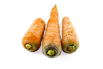 Frische Karotten auf weißem Hintergrund