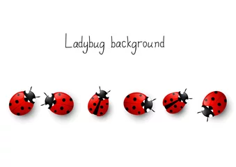 Fotobehang Ladybugs border © evgeniya_m