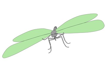 cartoon image of buttefly animal