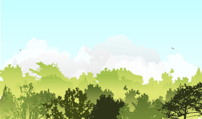 green forest and clouds on blue sky