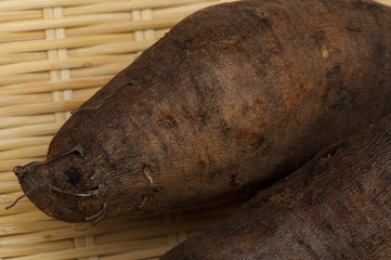 ヤーコン-Smallanthus sonchifolius