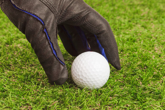 Golfer Pick Up The Golf Ball On Grass