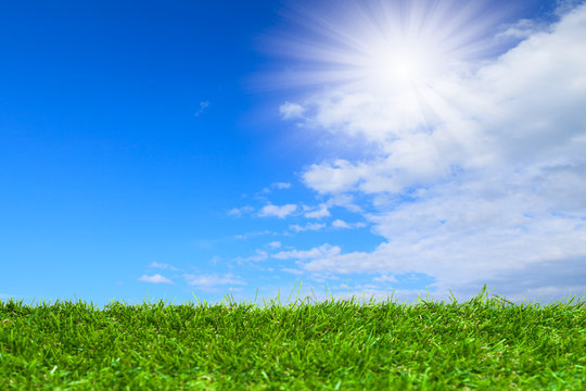 Artificial grass under blue sky