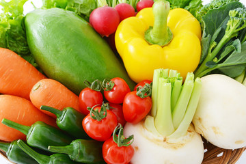 新鮮な野菜