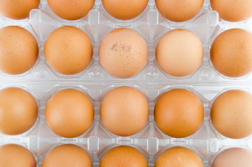 Eggs packed isolated white background