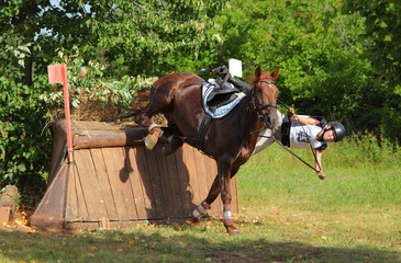 Incident during a sports horseback jump