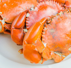 Grilled Crab on white plate