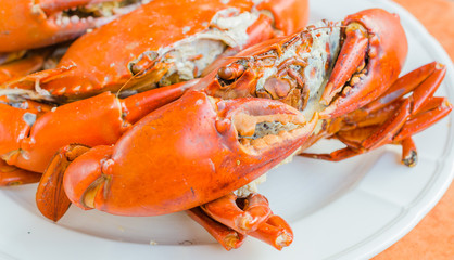 Grilled Crab on white plate