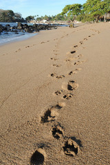 Footprint on the beach of Los Cobanos