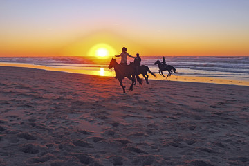 Horse riding on the beach at sunset