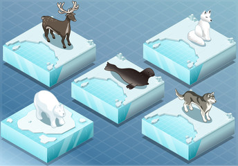 Isometric Arctic Animals on Ice