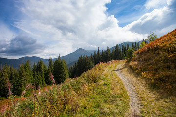 Obraz premium Gorgeous mountain view with sky and trees. Trail in Carpathian.