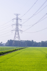 Electric Transmission Tower on filed