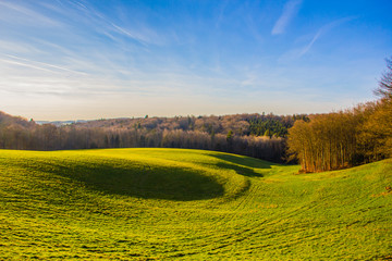 Prairie verdoyante sous le soleil