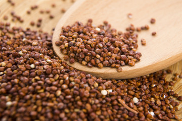 Red Quinoa grain