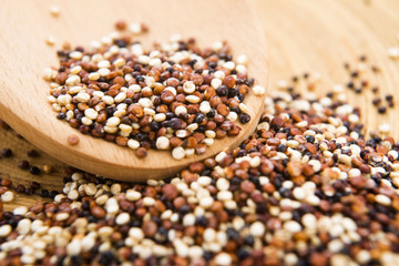Tricolor quinoa grain