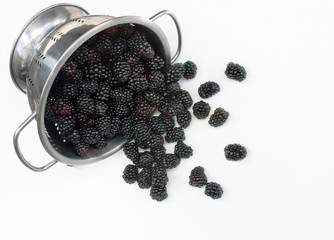 Colander with Spilled Blackberries