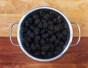 Fresh Blackberry Harvest