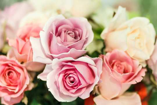 pink artificial roses close up