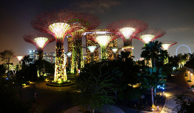 Gardens by the Bay at night. Singapore