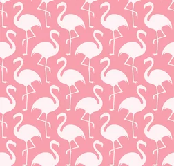 Zelfklevend Fotobehang Flamingo Flamingo