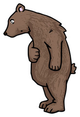 Cute cartoon bear, looking confused, curious