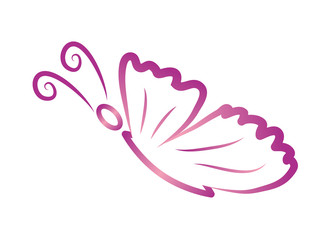 Butterfy Illustration