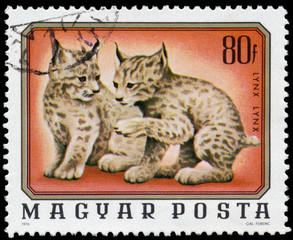 HUNGARY - CIRCA 1976: A stamp printed in Hungary shows two young