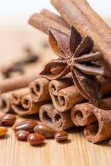 Dry multicolored spice closeup