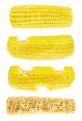 Process of eating cornstick isolated