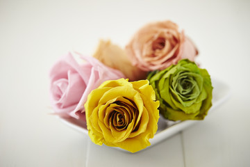 roses