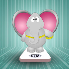 Elephant on balance for weight loss