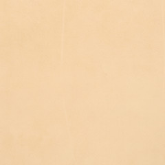 Beige leather