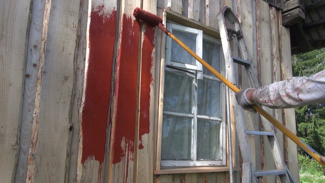 painting old farm house wall with paint roller