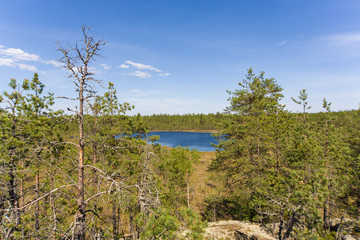 Obraz premium summer landscape