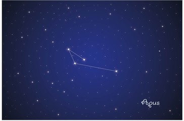 Constellation Apus