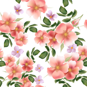Beautiful seamless vector pattern with wild  roses