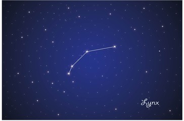 Obraz na płótnie Canvas Constellation Lynx