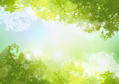 空 初夏 背景 新緑 自然 Fresh Spring Green background with soft sun light
