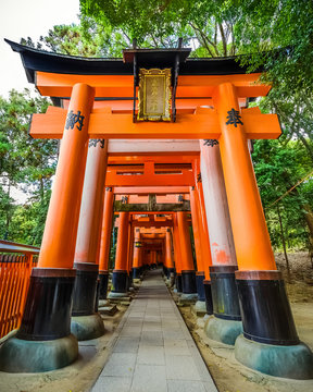 Torii at Fushimi Inari shrine in Kyoto