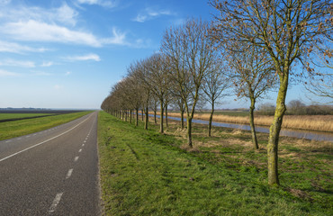Road through the countryside in winter