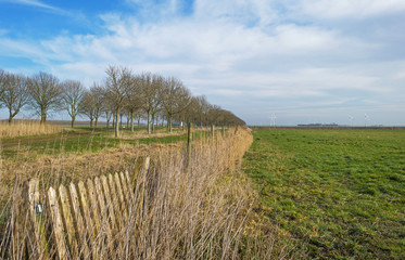 Fototapeta na wymiar Old fence along a meadow in winter