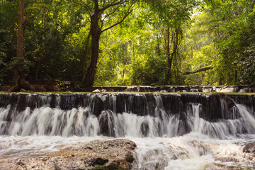 forest waterfall