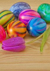 Obraz na płótnie Canvas Colorful easter eggs and purple tulip. 