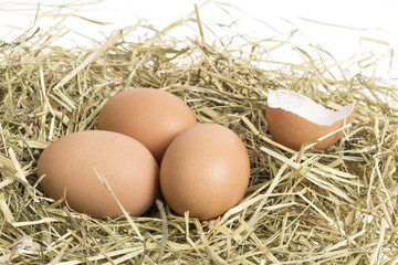 Ostern, Eier im Korb, Nest