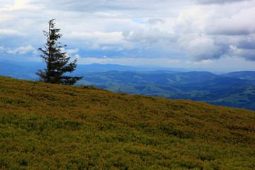 Mountain landscape. Storm clouds in the mountains.