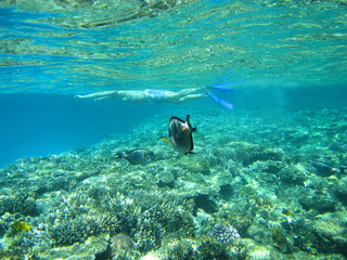 Fototapeta na wymiar Snorkeling